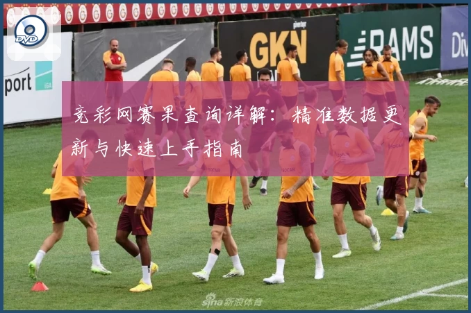 竞彩网赛果查询详解:精准数据更新与快速上手指南