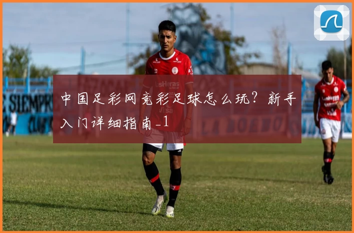 中国足彩网竞彩足球怎么玩？新手入门详细指南_1
