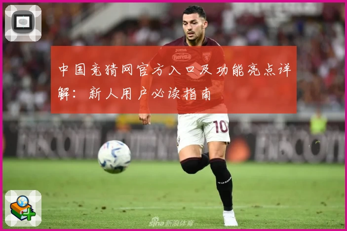 中国竞猜网官方入口及功能亮点详解：新人用户必读指南