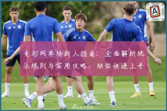 竞彩网单场新人指南：全面解析玩法规则与实用攻略，助你快速上手体验